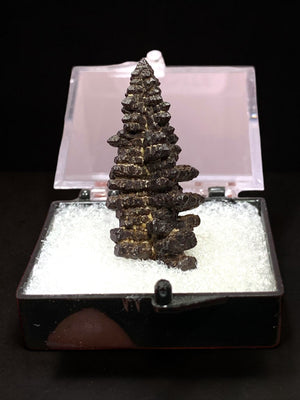 Limonite Pseudomorph, Egypt
