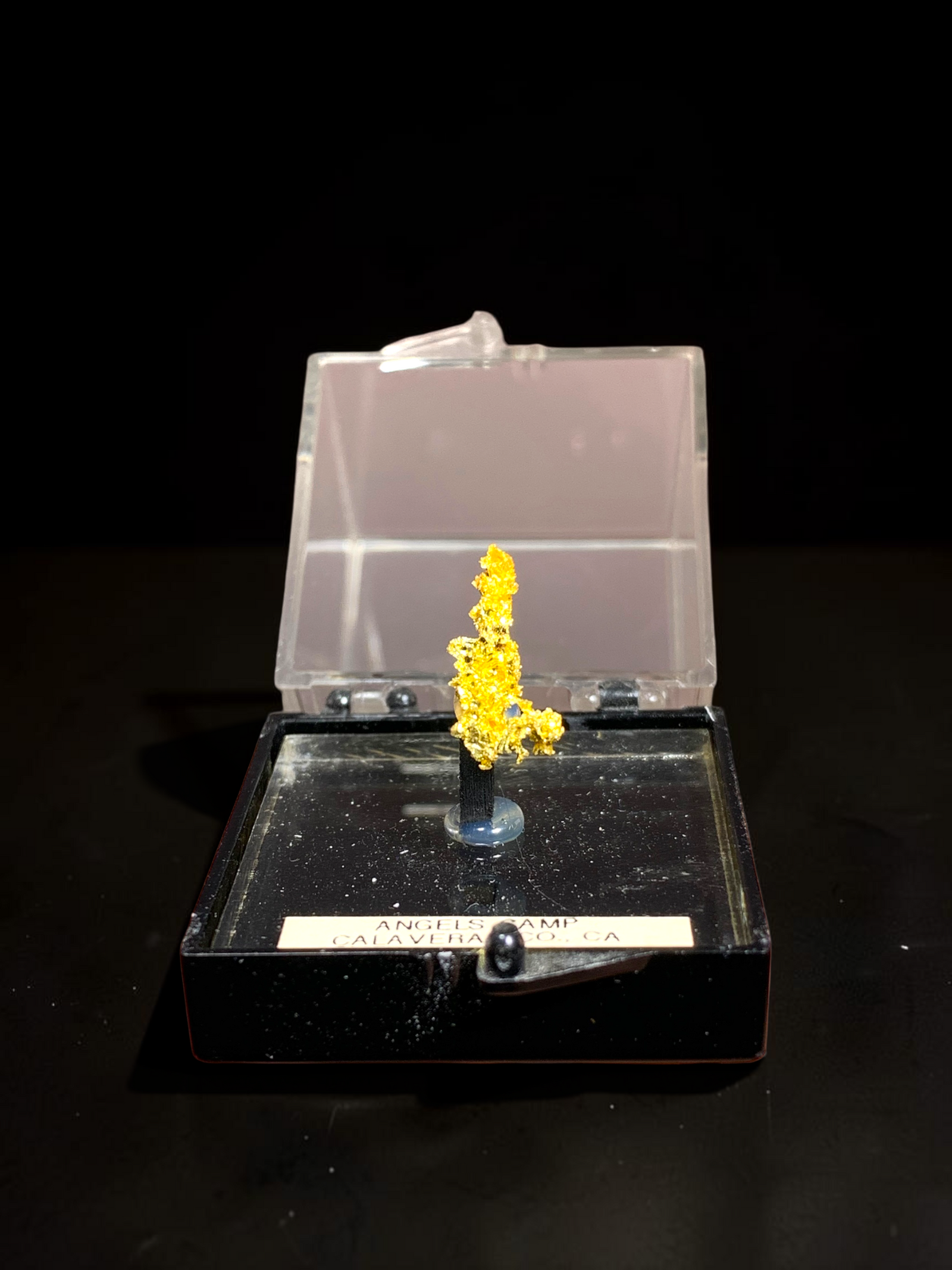 Native Gold, Angels Camp, California