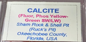 Calcite, Ruck's Pit, Florida