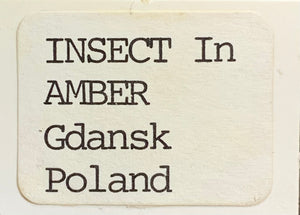 Amber w/ Insect Inclusion, Poland