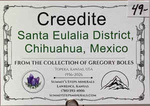 Purple Creedite, Santa Eulalia, Mexico