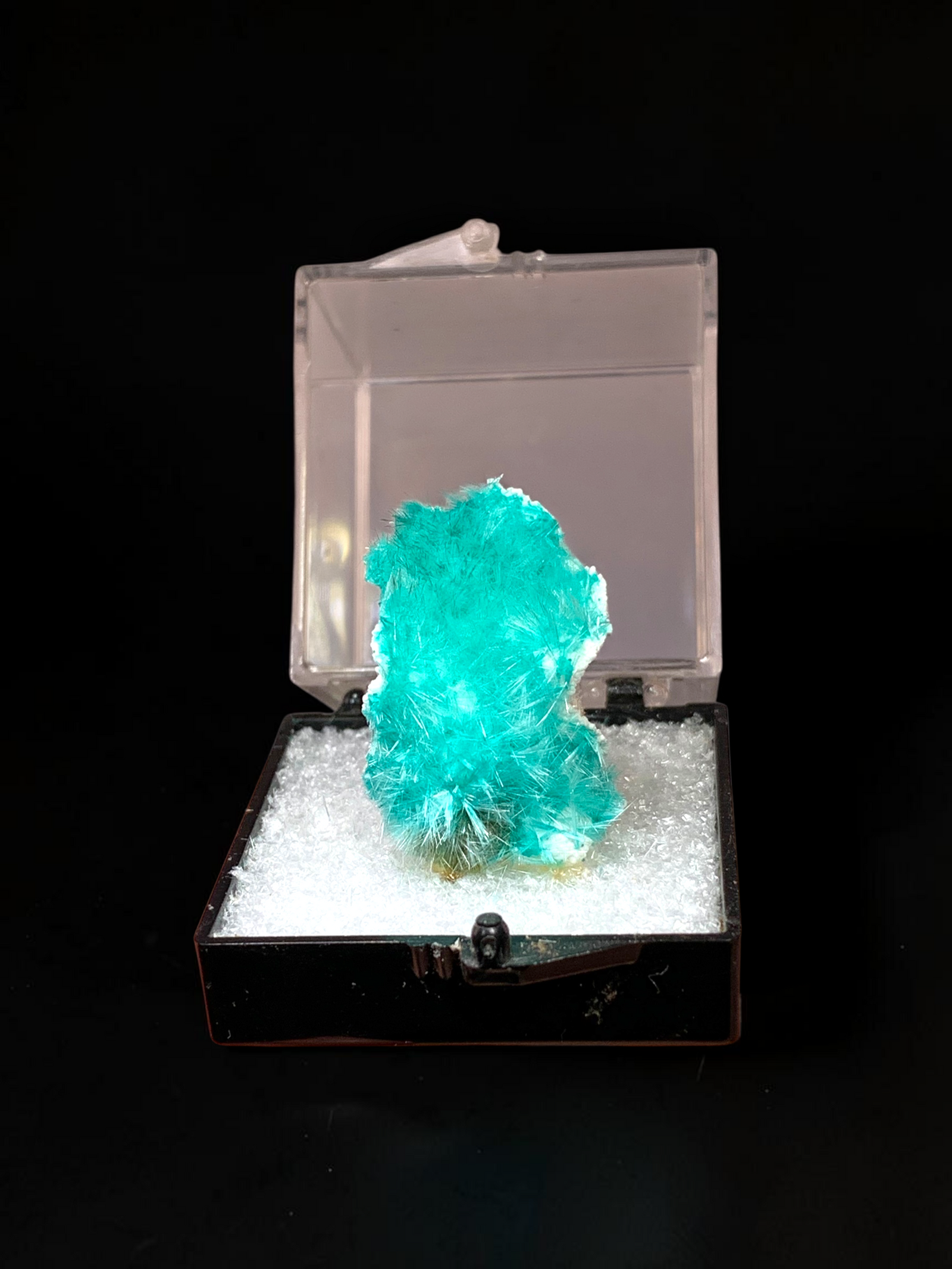 Aurichalcite, 79' Mine, Arizona