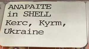 Anapaite in Shell, Kerch Peninsula, Ukraine
