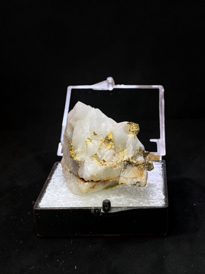 Gold On Quartz, Mariposa County, California