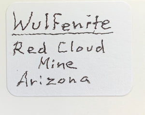 Wulfenite, Red Cloud Mine, Arizona