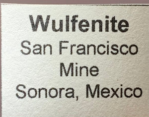 Wulfenite w/ Mimetite, San Francisco Mine, Mexico