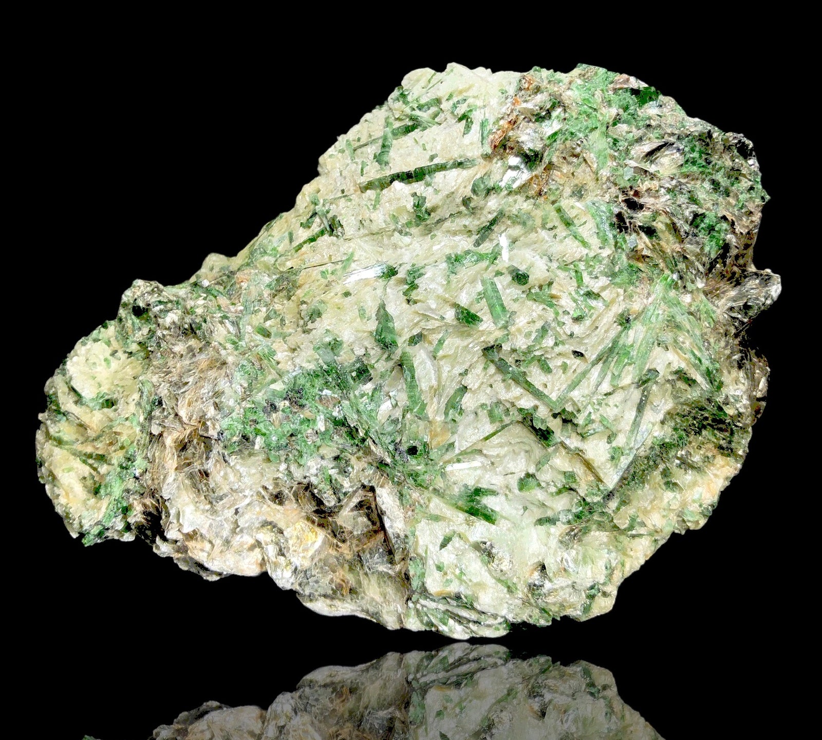 Actinolite w/ Muscovite, Wenatchee Ridge, Washington, USA
