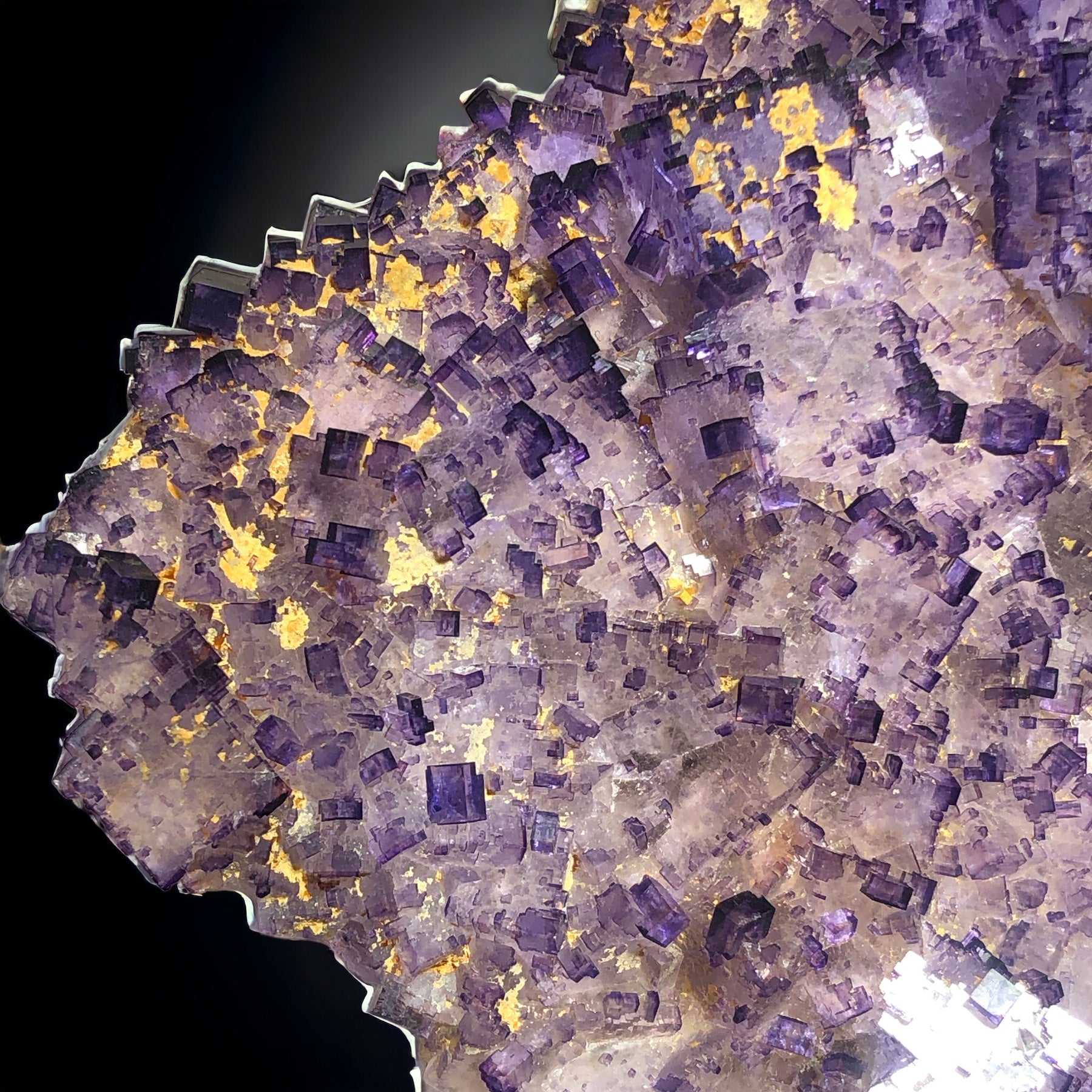 Fluorite, Muzquiz, Mexico