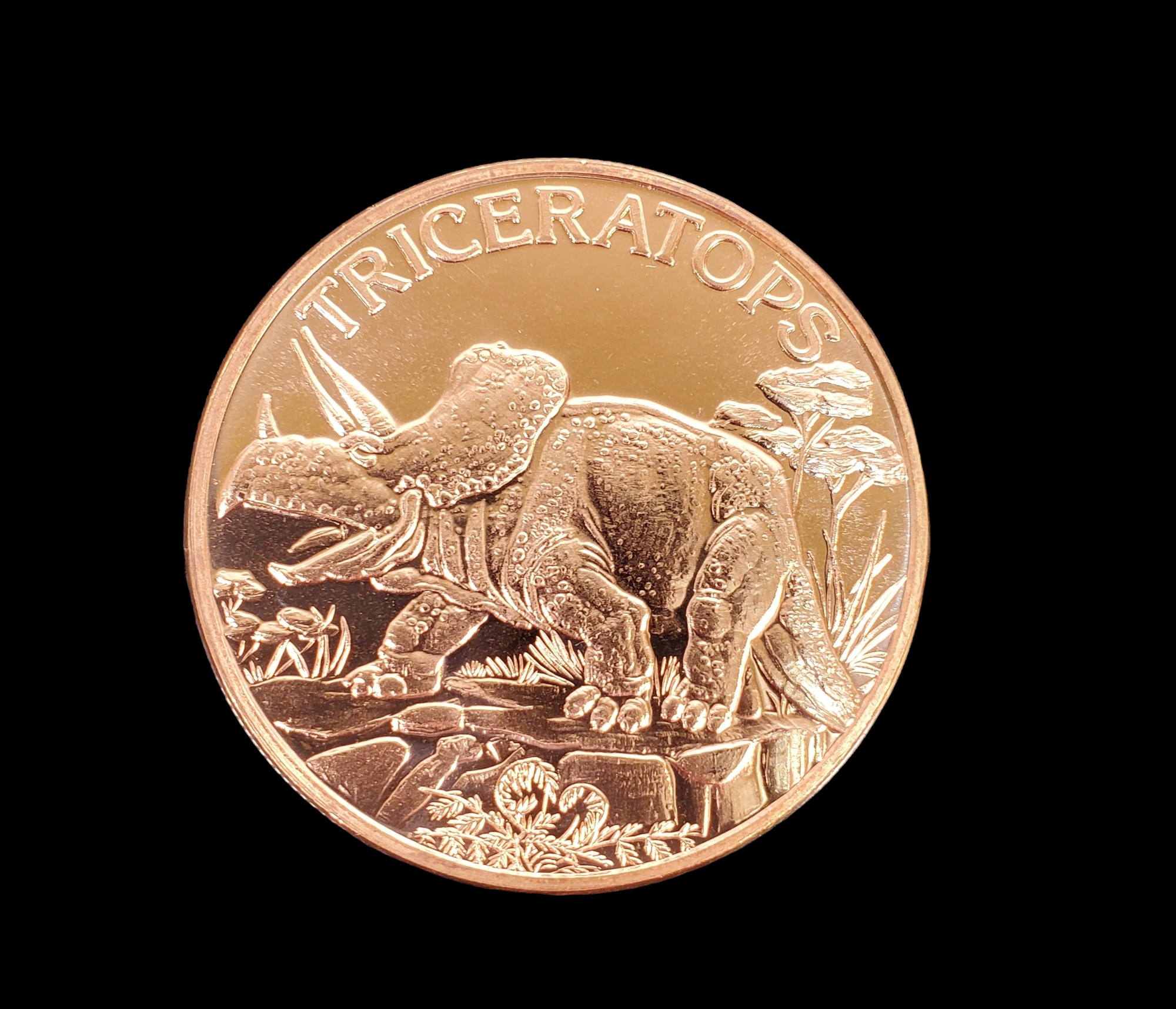 1 Oz Copper Coin (Triceratops), Michigan