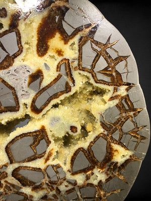 Septarian Slice