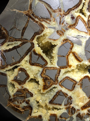 Septarian Slice