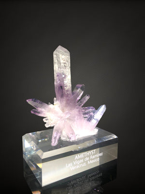 Amethyst w/ custom stand