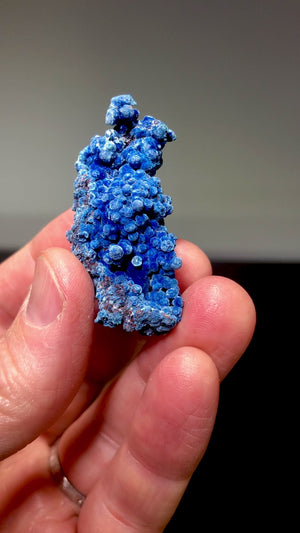 Shattuckite, Milpillas, Mexico