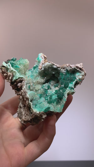 Dioptase w/ Quartz, Pool Department, Republic of the Congo