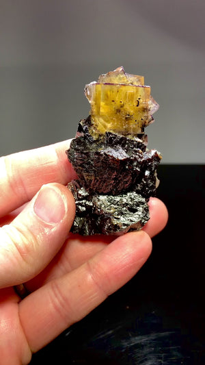 Fluorite w/ Sphalerite, Minerva #1 Mine, ILLinois, USA