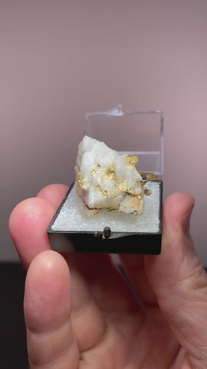 Gold On Quartz, Mariposa County, California