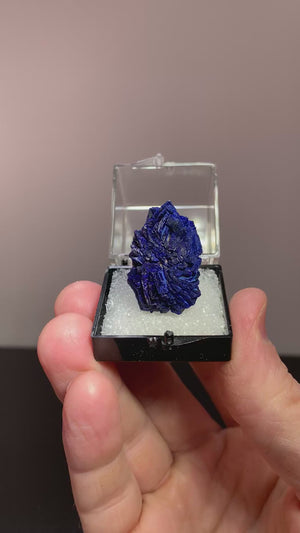 Azurite, Sir Dominick Mine, Australia