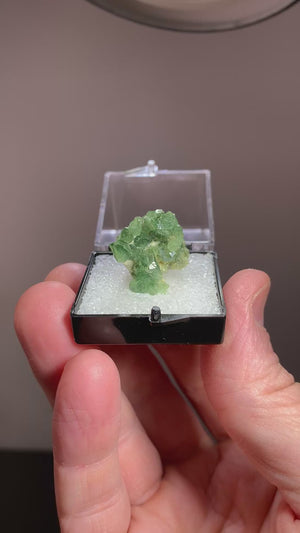 Andradite Garnet, Madagascar