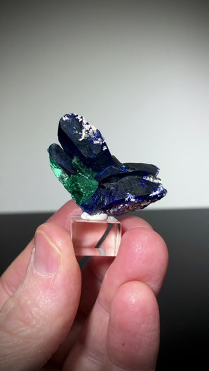 Azurite w/ Malachite