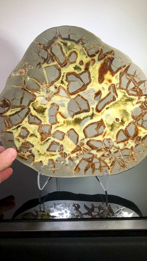 Septarian Slice