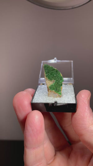 Libethenite, Ray Mine, Arizona