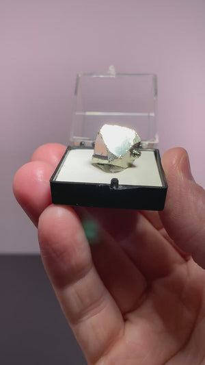 Pyrite, Concepcion del Oro, Mexico