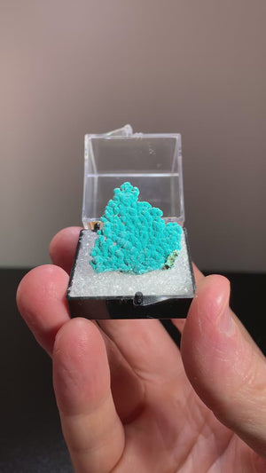 Rosasite, Silver Bill Mine, Arizona