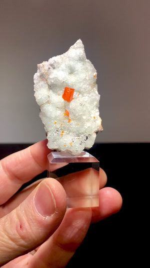 Wulfenite on Hemimorphite, Red Cloud Mine, Arizona