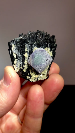 Schorl Tourmaline w/ Fluorite, Erongo, Namibia