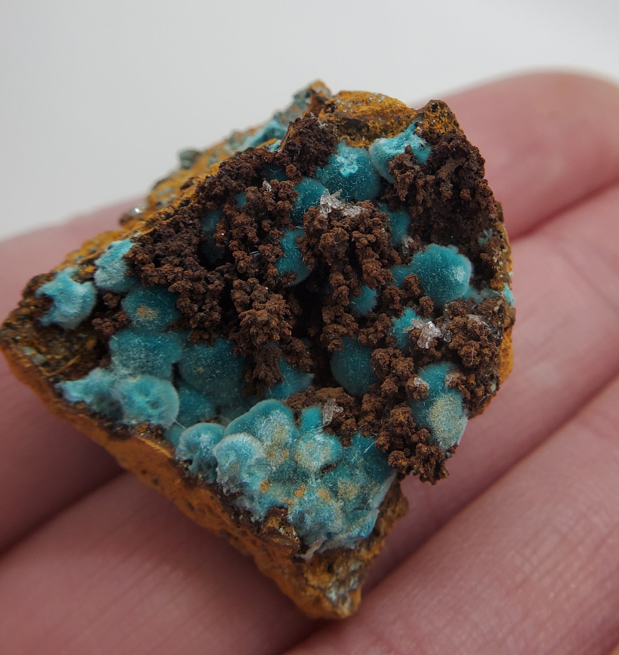 Rosasite, Mexico