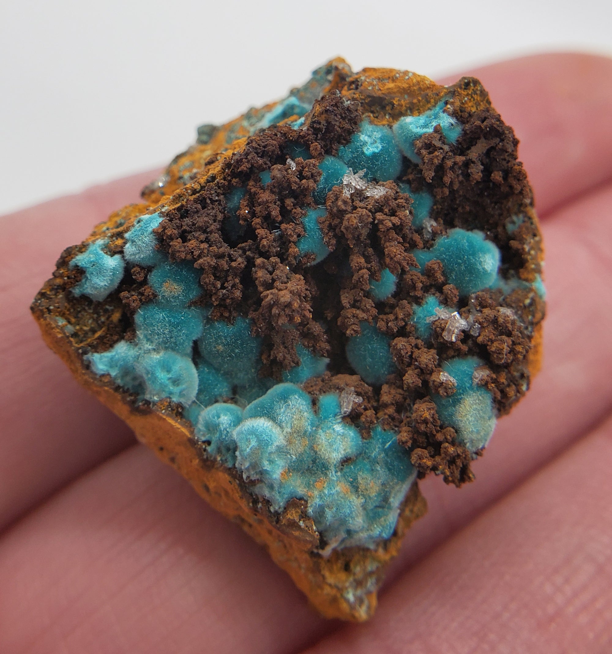 Rosasite, Mexico