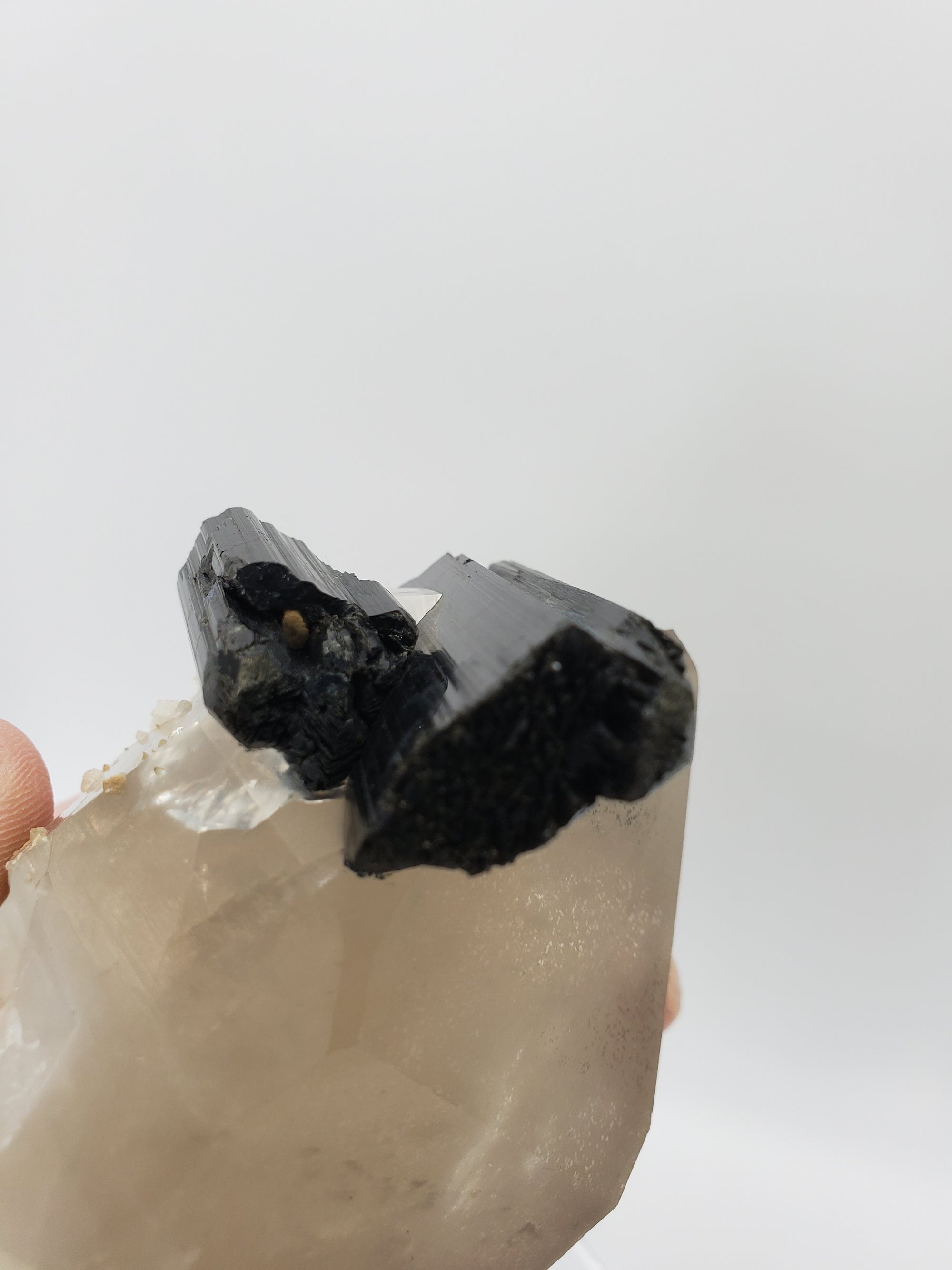 Quartz w/ Schorl Tourmaline
