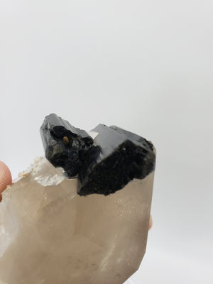 Quartz w/ Schorl Tourmaline
