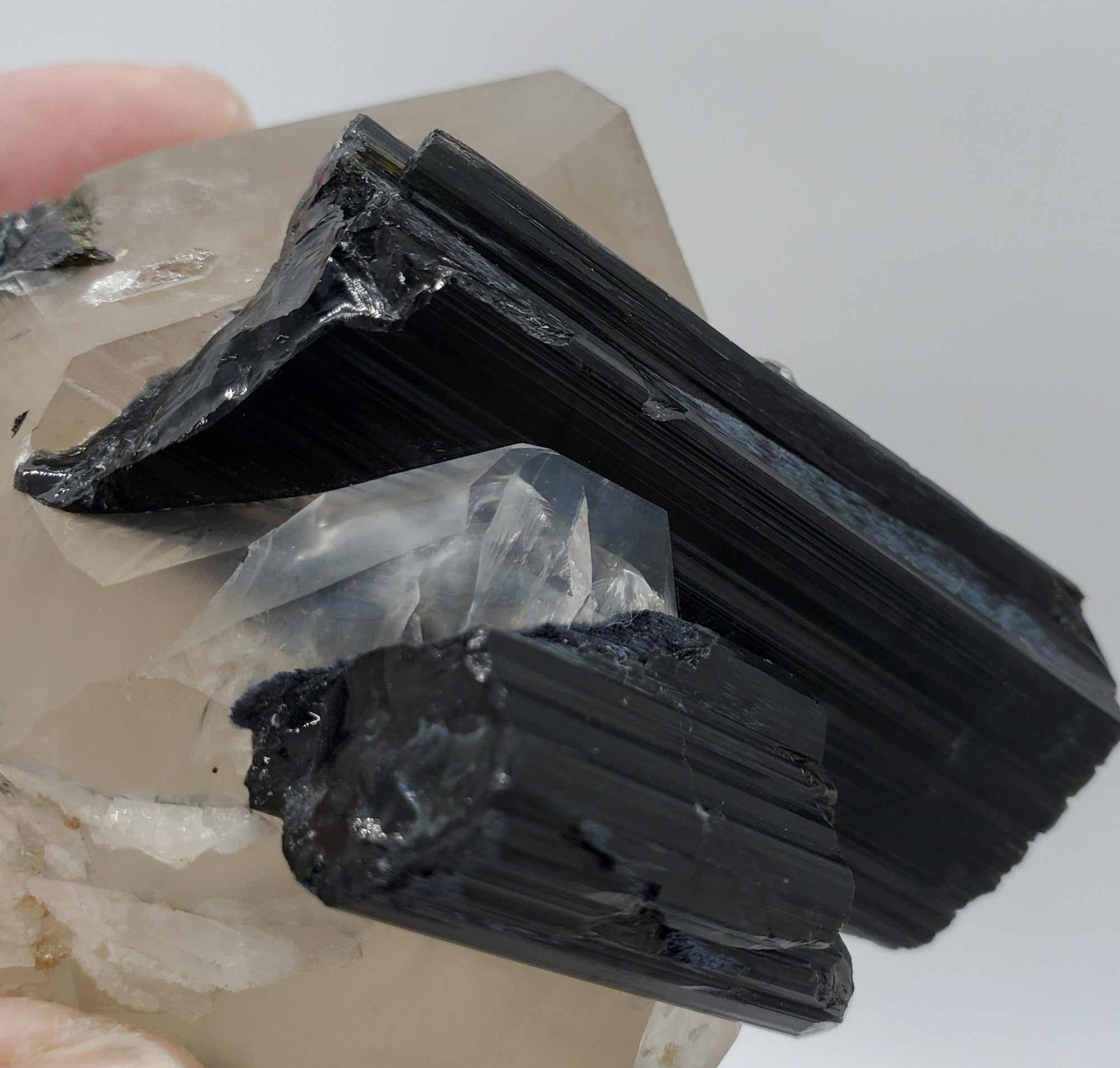 Quartz w/ Schorl Tourmaline