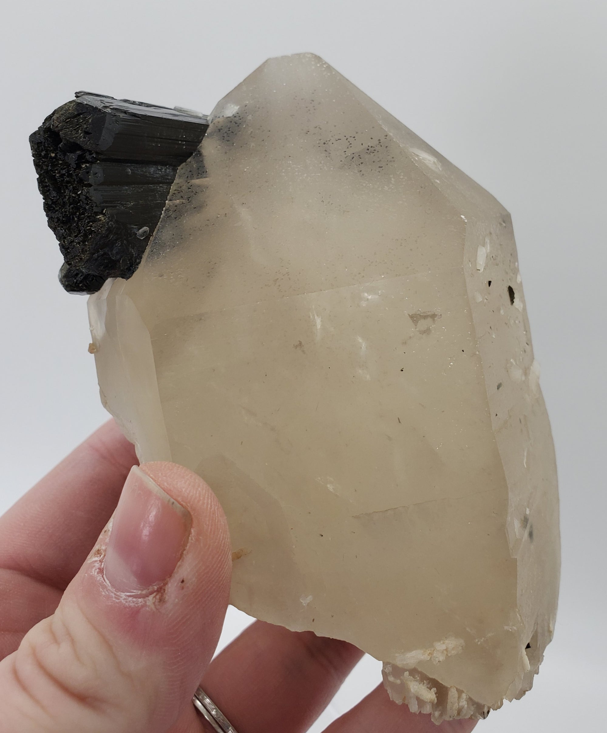 Quartz w/ Schorl Tourmaline