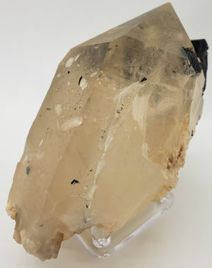 Quartz w/ Schorl Tourmaline