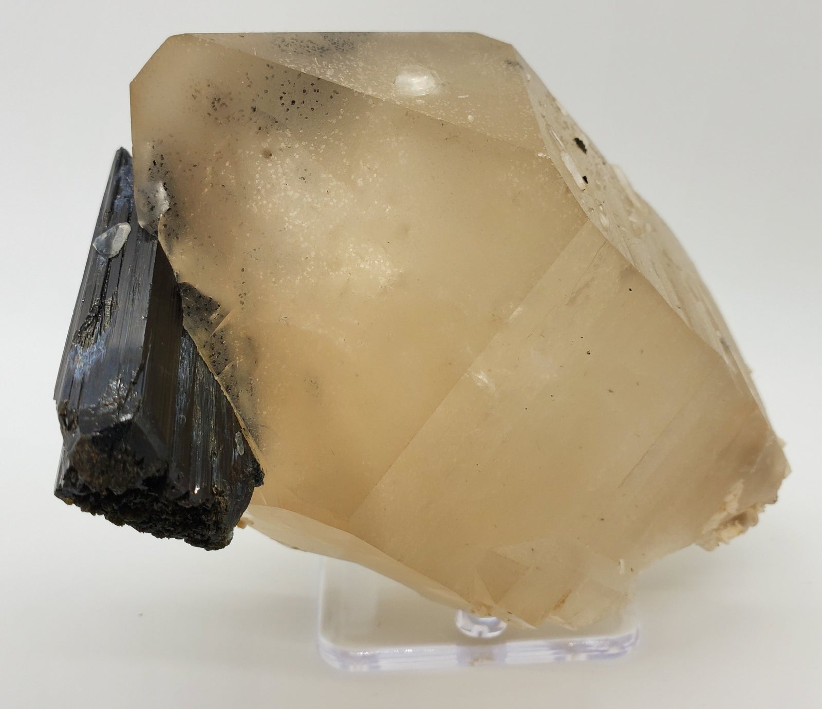 Quartz w/ Schorl Tourmaline