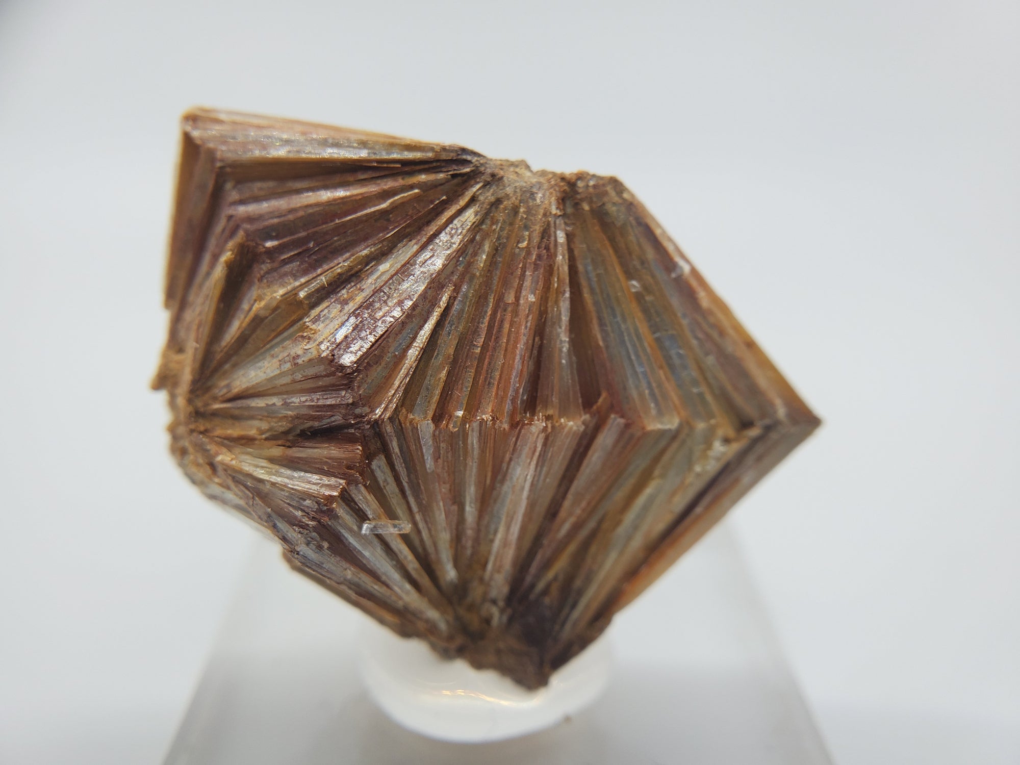 Pyrophyllite