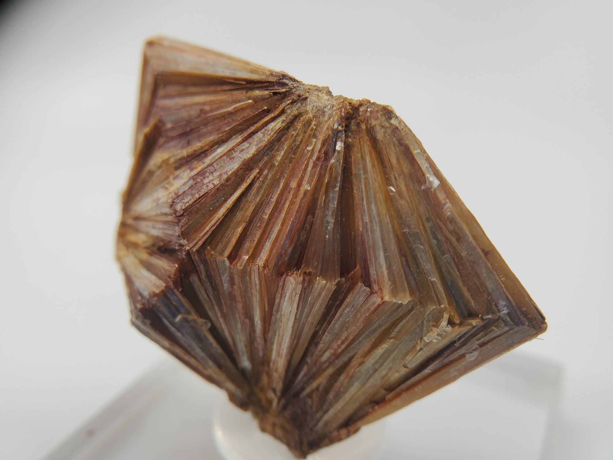 Pyrophyllite