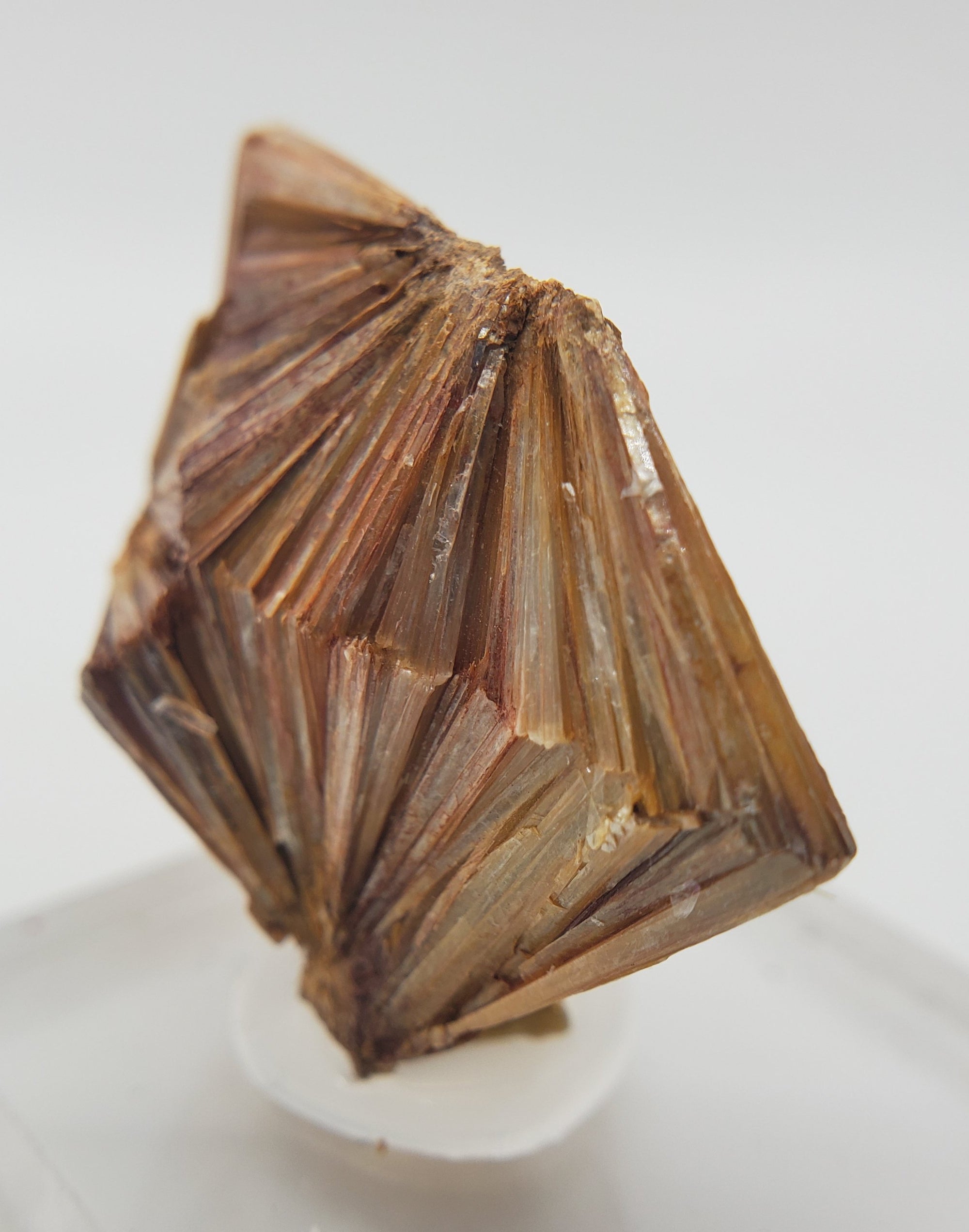 Pyrophyllite