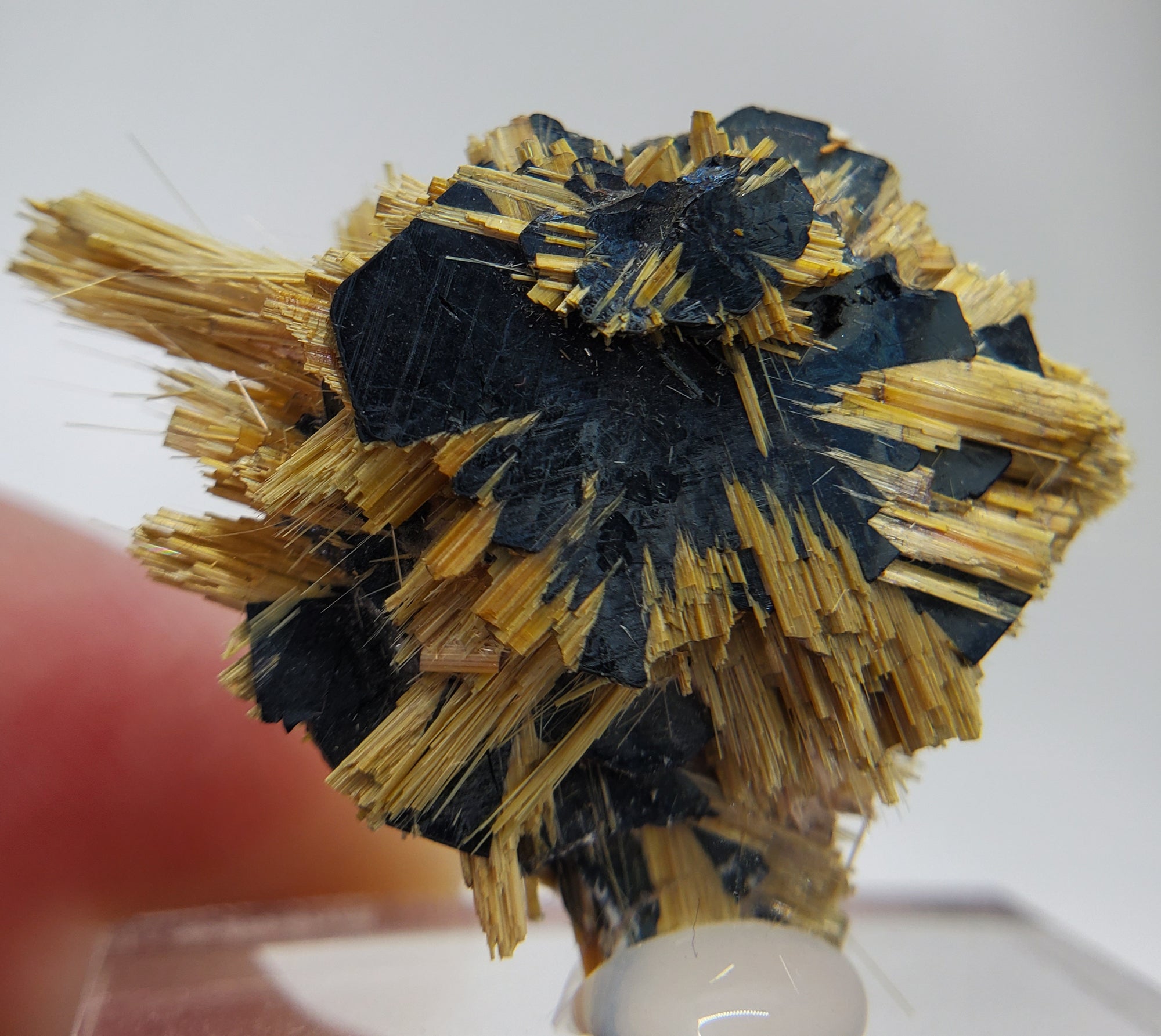 Rutile and Hematite,  Brasil