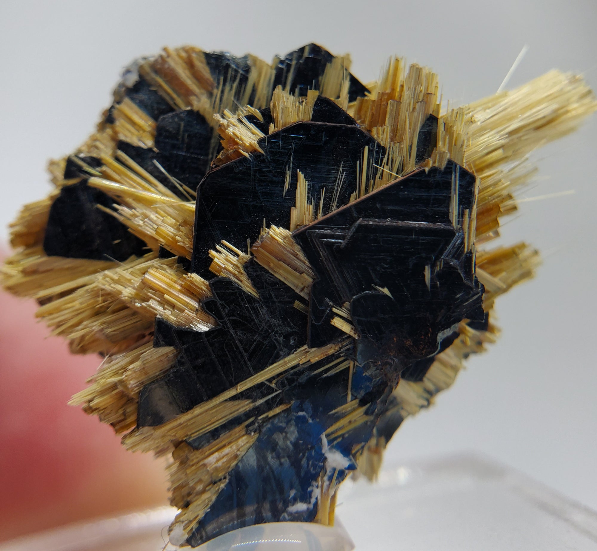 Rutile and Hematite,  Brasil