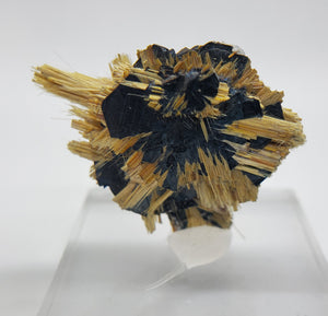 Rutile and Hematite,  Brasil