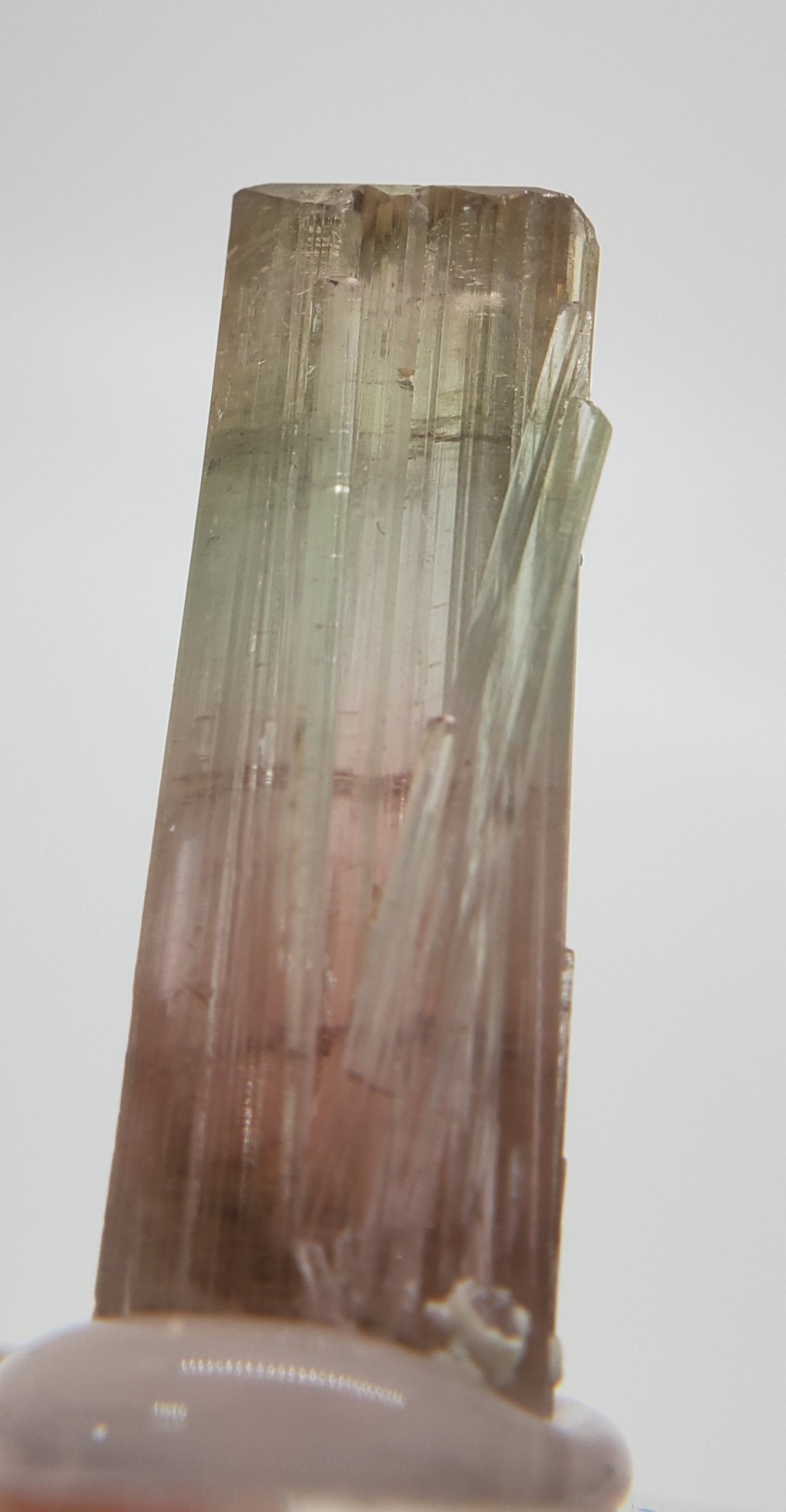 Bi-Colored Tourmaline,  California