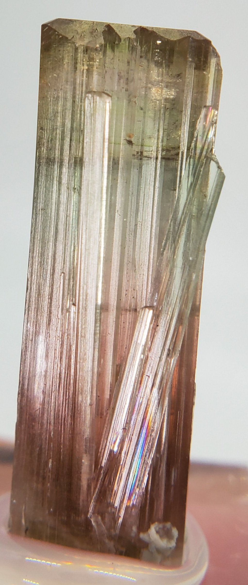 Bi-Colored Tourmaline,  California