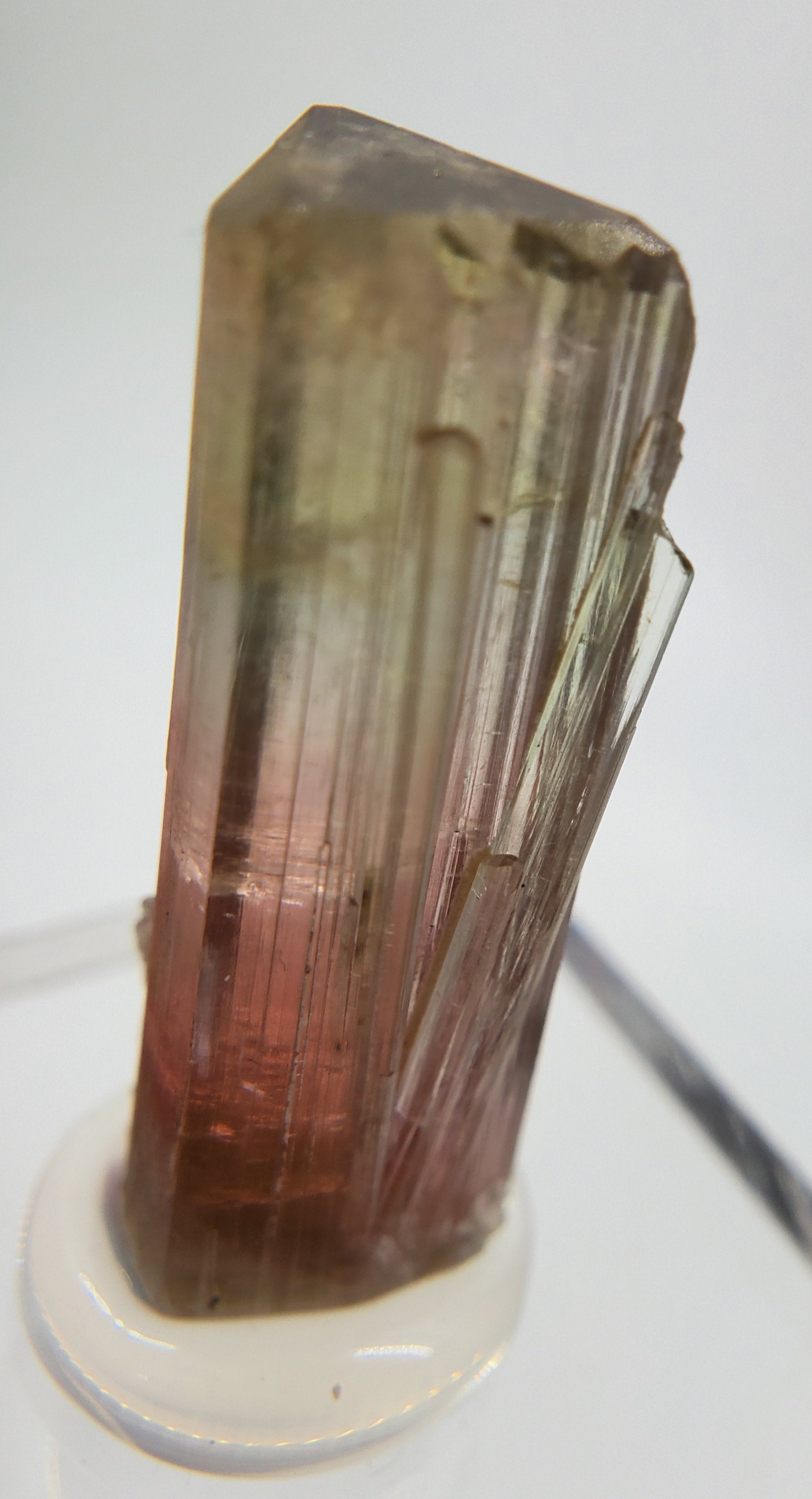 Bi-Colored Tourmaline,  California