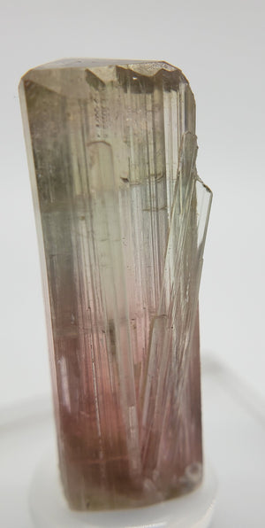 Bi-Colored Tourmaline,  California