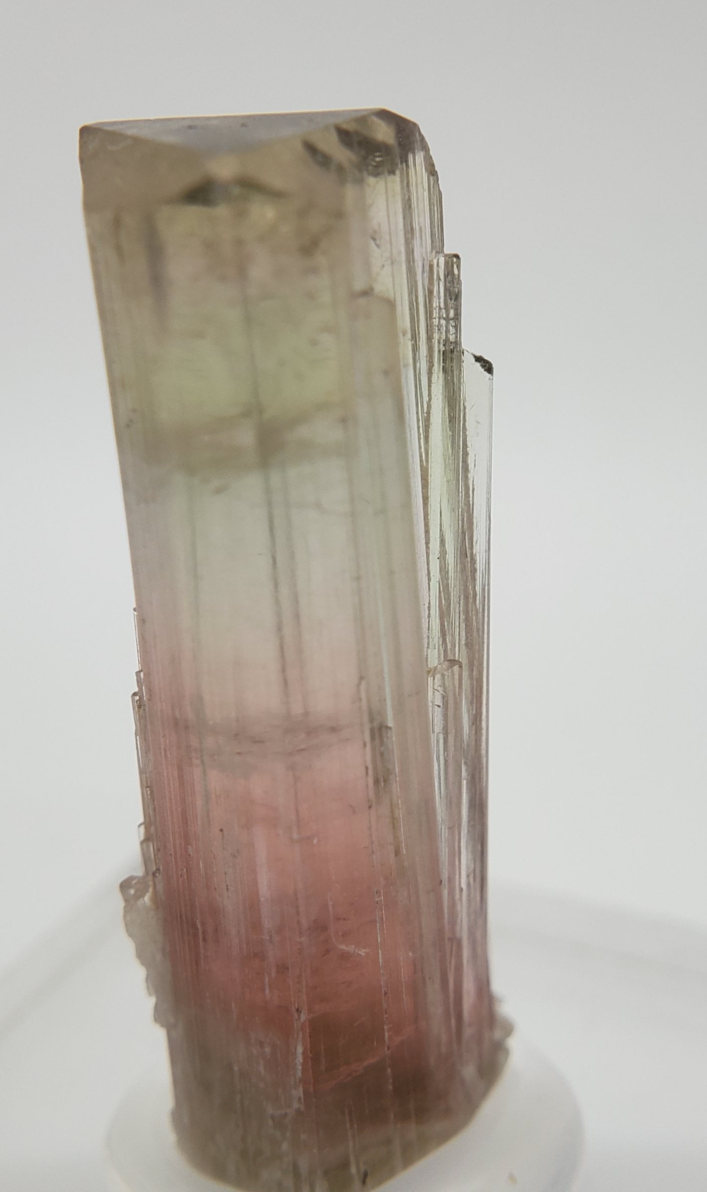 Bi-Colored Tourmaline,  California