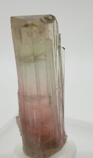 Bi-Colored Tourmaline,  California