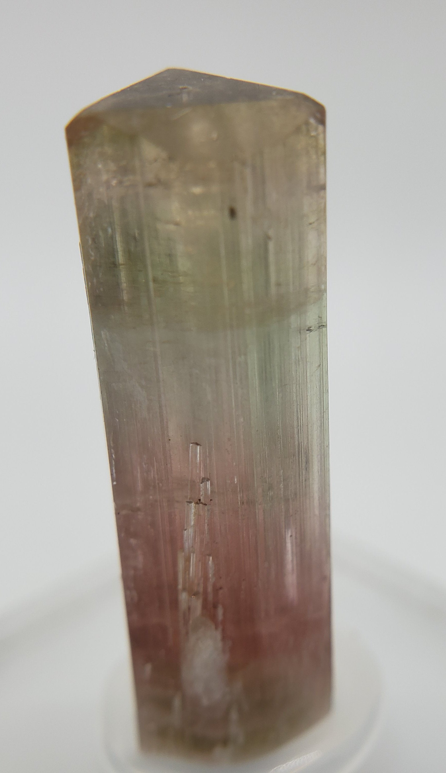 Bi-Colored Tourmaline,  California